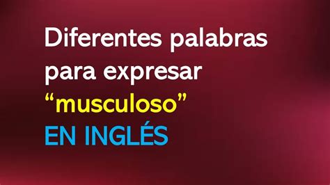 musculosi|Musculoso en inglés 